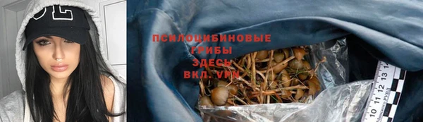 стафф Зеленодольск