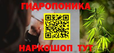 ГАЛЛЮЦИНОГЕННЫЕ ГРИБЫ Гагарин