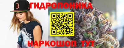 гидра Гай