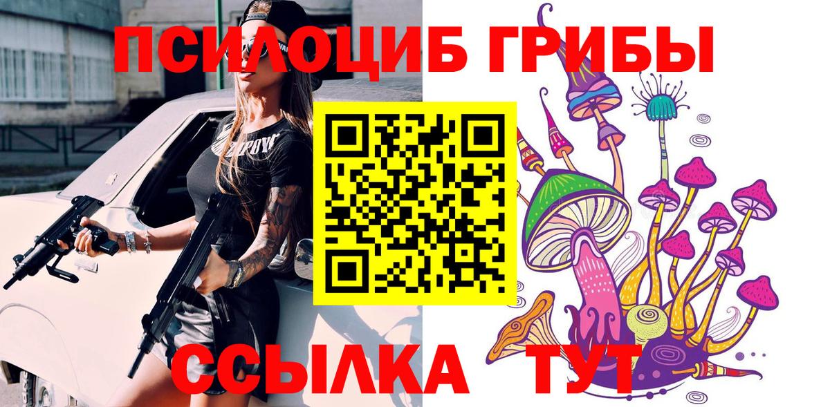 Грозный  Псилоцибиновые грибы мицелий  Вход с VPN 