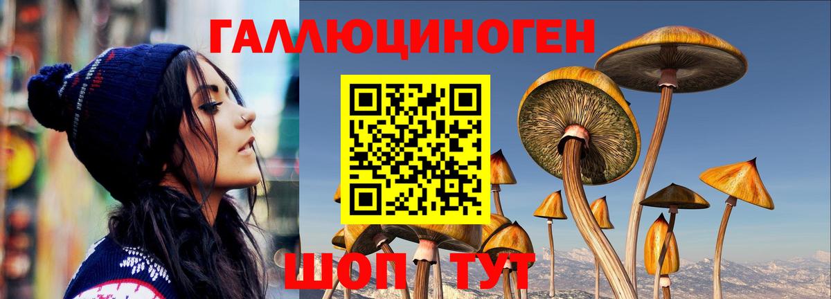 Галлюциногенные грибы мицелий Грозный