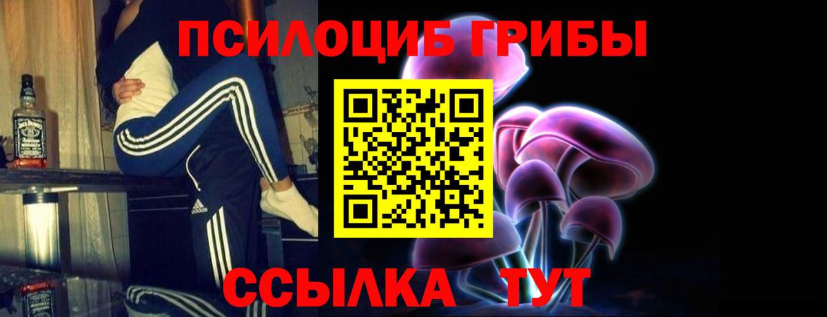 Галлюциногенные грибы мухоморы  Грозный 