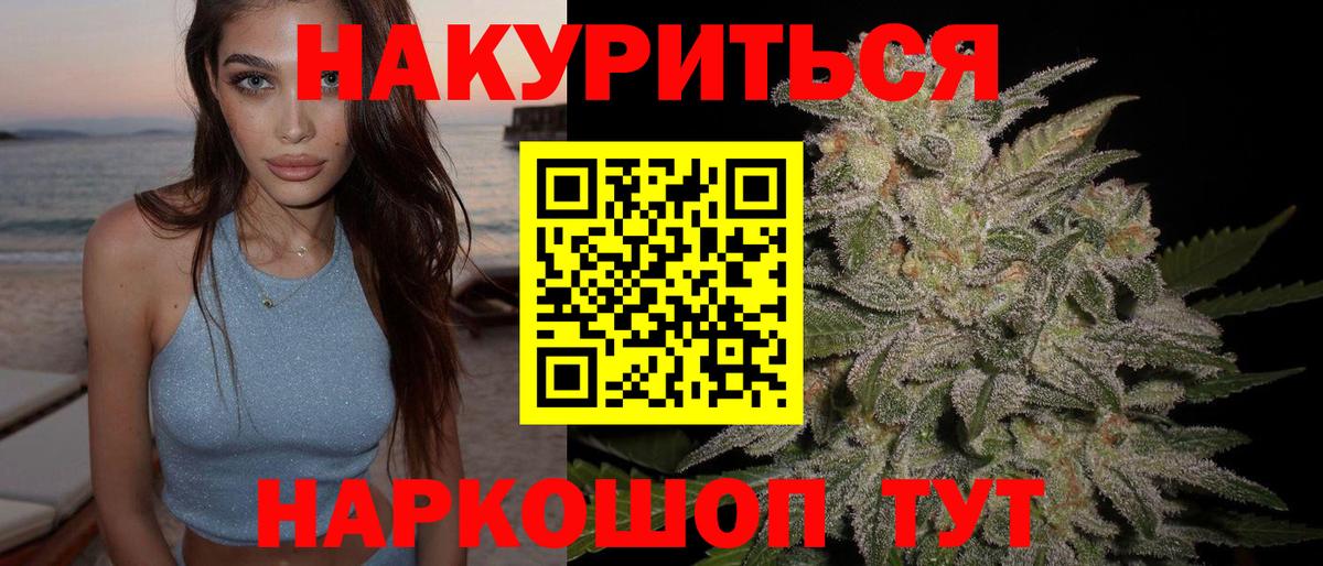 Грозный  Бошки марихуана тримм  Вход с VPN  Шишки марихуана индика 